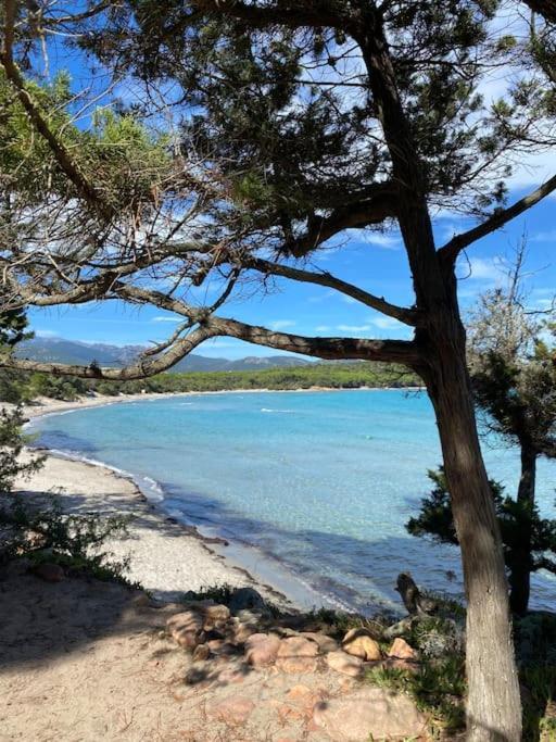 Villa Pacienta بونيفَسْيو المظهر الخارجي الصورة